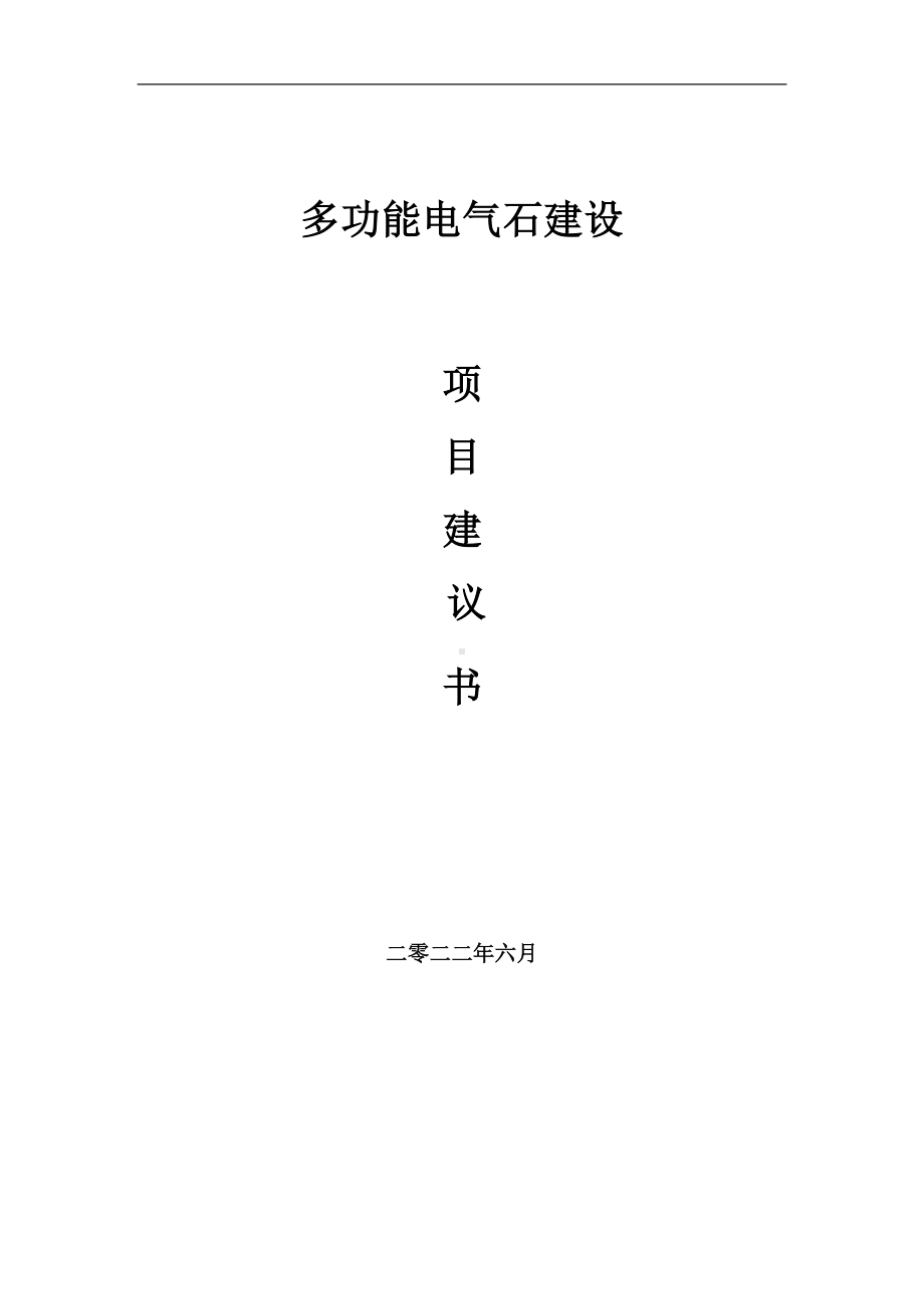 多功能电气石项目建议书（写作模板）.doc_第1页