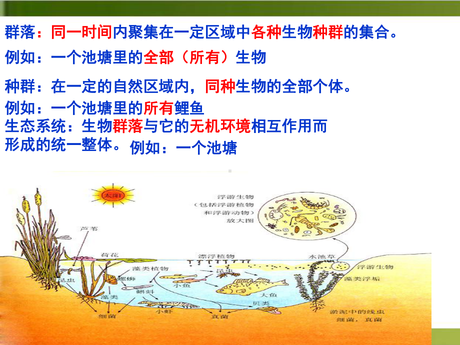 新（人教版材）群落的结构课件详解1.ppt_第3页