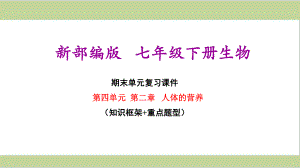 新人教版七年级下册初中生物 第四单元 第二章 人体的营养 期末单元复习课件.ppt