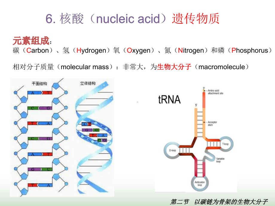 新教材高中生物123以碳链为骨架的生物大分子核酸课件1浙科版必修1.ppt_第3页