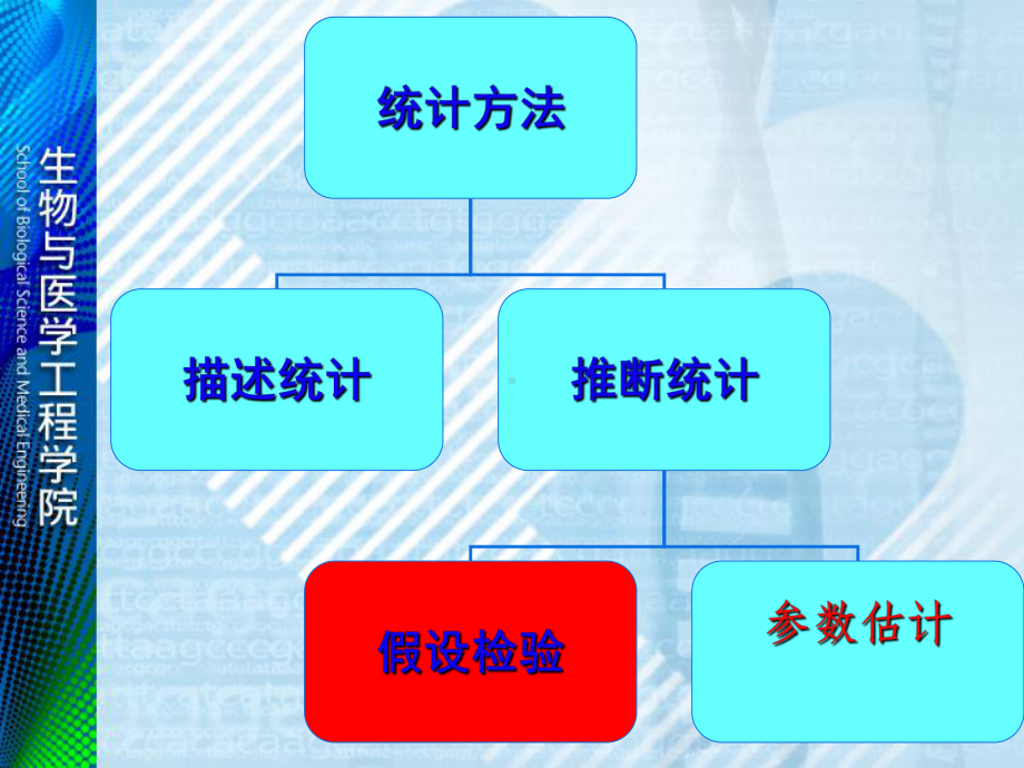 生物统计学[参数估计]学习培训课件.ppt_第3页