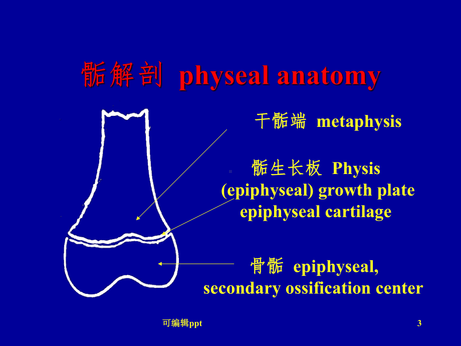 小儿骨骺损伤课件.ppt_第3页