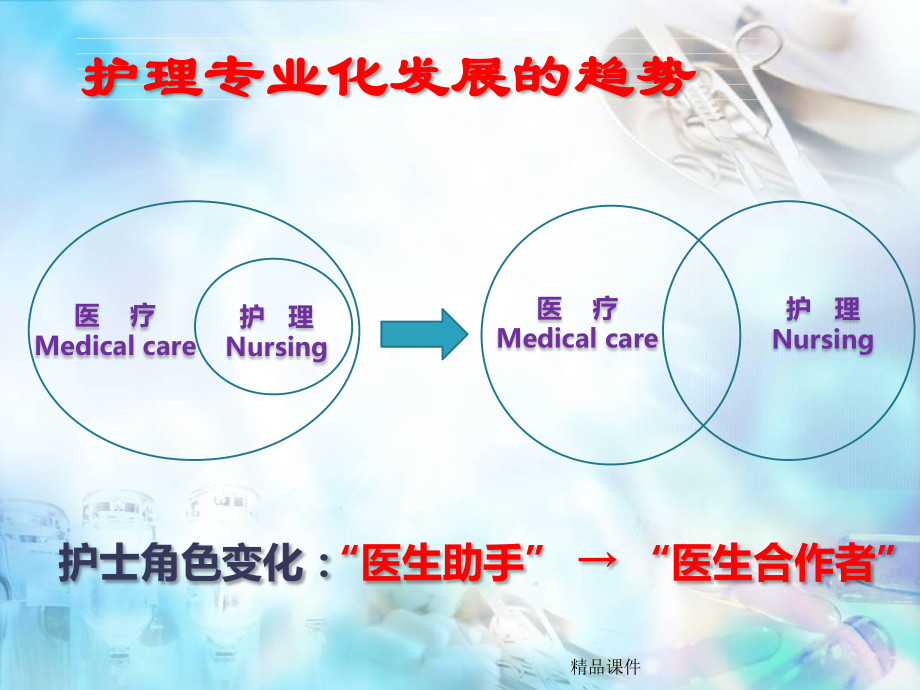 护士职业发展与规划课件整理 .ppt_第2页