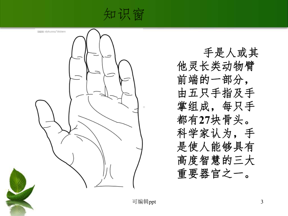 小学美术画一画自己的手精课件.ppt_第3页