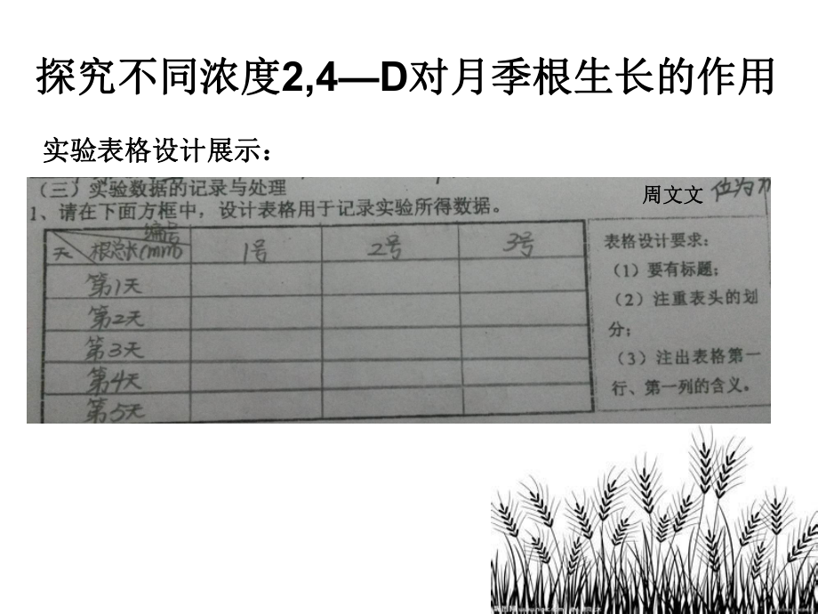 植物激素调节2学习培训课件.ppt_第3页