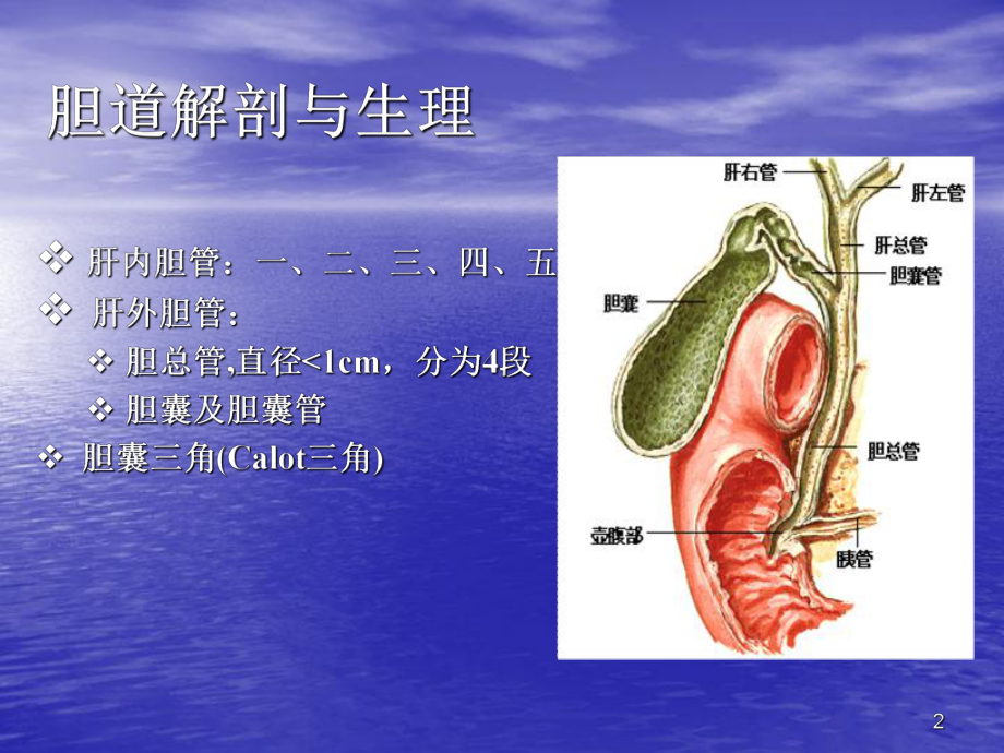 急性梗阻性化脓性胆管炎症课件.ppt_第2页