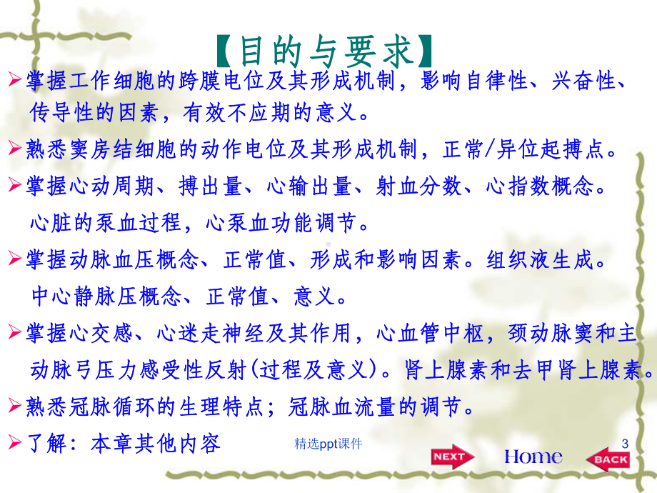 心血管生理学课件.ppt_第3页