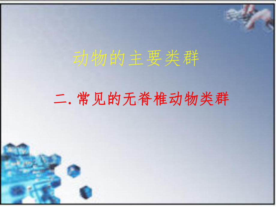 常见的无脊椎动物完整课件.ppt_第1页