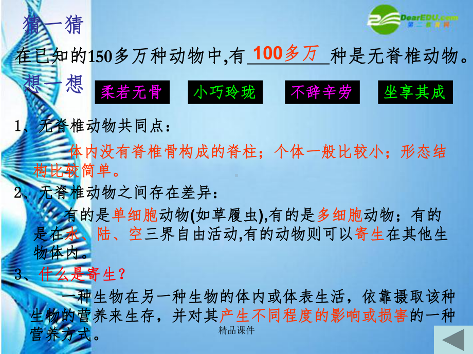 常见的无脊椎动物完整课件.ppt_第3页