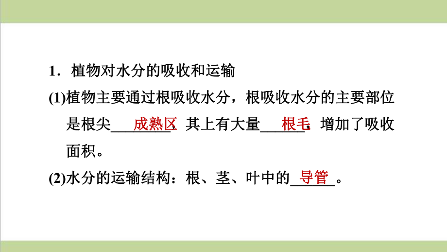 新人教版七年级上册生物 33 绿色植物与生物圈的水循环 重点习题练习复习课件.ppt_第2页