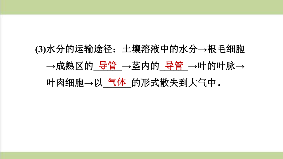 新人教版七年级上册生物 33 绿色植物与生物圈的水循环 重点习题练习复习课件.ppt_第3页