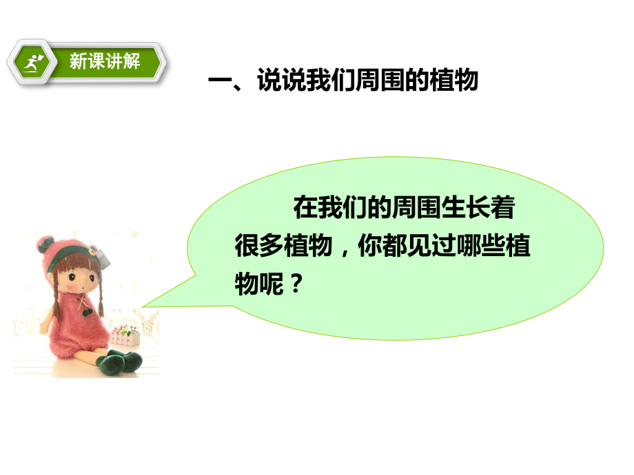 我们知道的植物 一年级科学教学课件.ppt_第3页