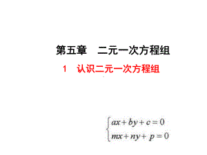 认识二元一次方程组学习培训课件.ppt