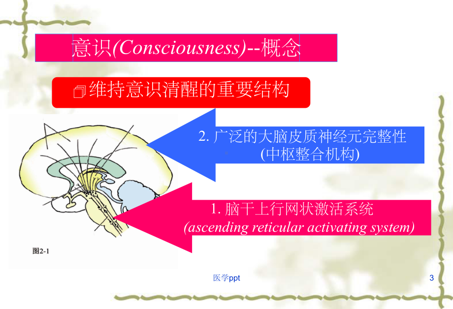 意识障碍的急救流程课件.ppt_第3页