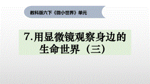 教科版小学科学六年级下册1 7《用显微镜观察身边的生命世界(三)》教学课件.pptx