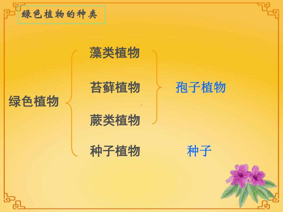 新人教版藻类、苔藓和蕨类植物优质课公开课课件.ppt_第3页