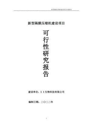 新型隔膜压缩机项目可行性研究报告备案申请模板.doc