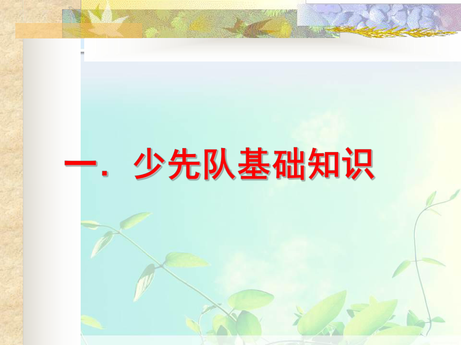 少先队礼仪规范主题班会课件.ppt_第2页