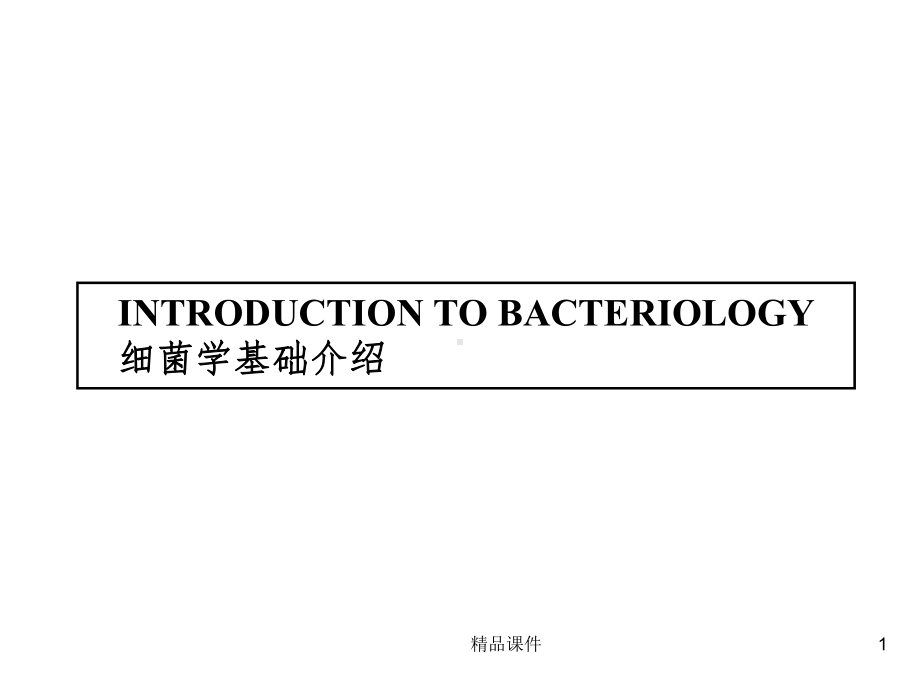 常见细菌分类课件.ppt_第1页