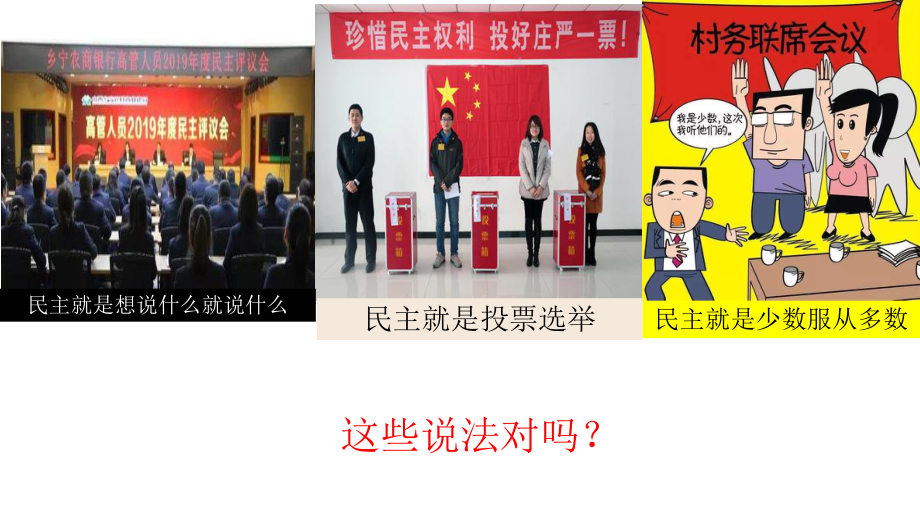 新教材《生活在民主国家》部编课件.ppt_第3页