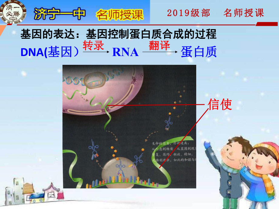 新教材生物《基因指导蛋白质的合成》课件1-002.pptx_第3页