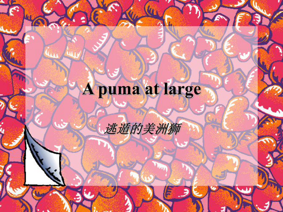 新概念第三册第一课《A Puma at Large》课件.ppt_第2页