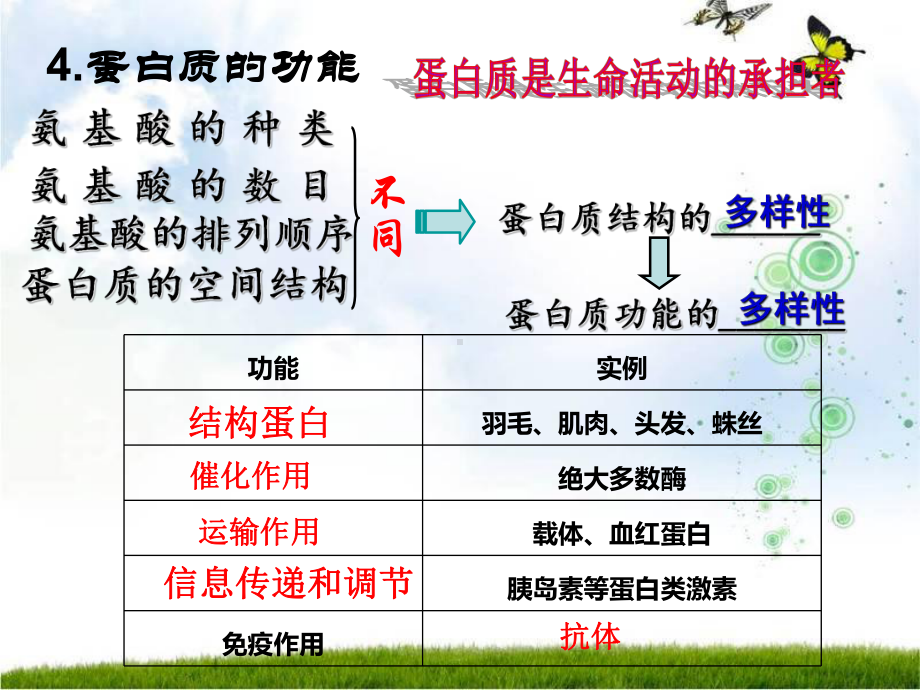 新教材生物《蛋白质是生命活动的主要承担者》完美版1课件.pptx_第3页