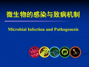 微生物的感染与致病机制课件.ppt