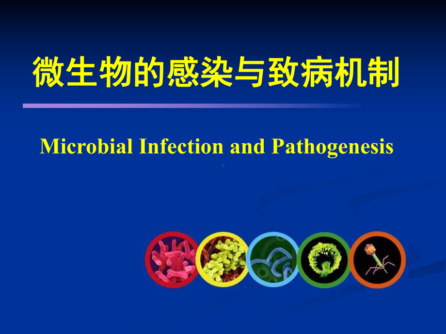 微生物的感染与致病机制课件.ppt_第1页