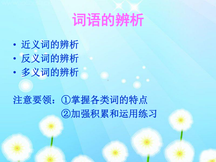 小学语文复习之词语课件.ppt_第3页