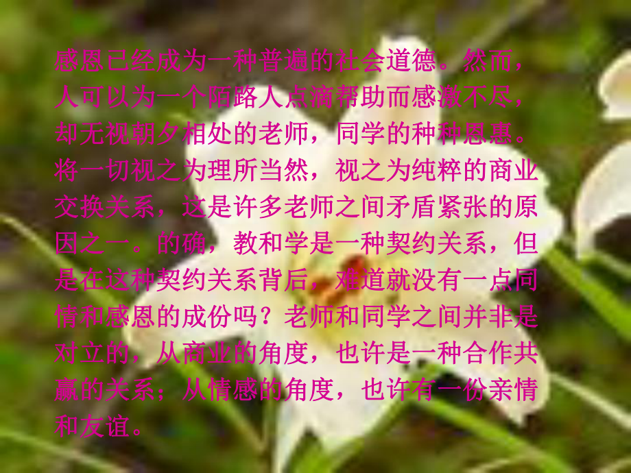 感恩的心课件.ppt_第3页