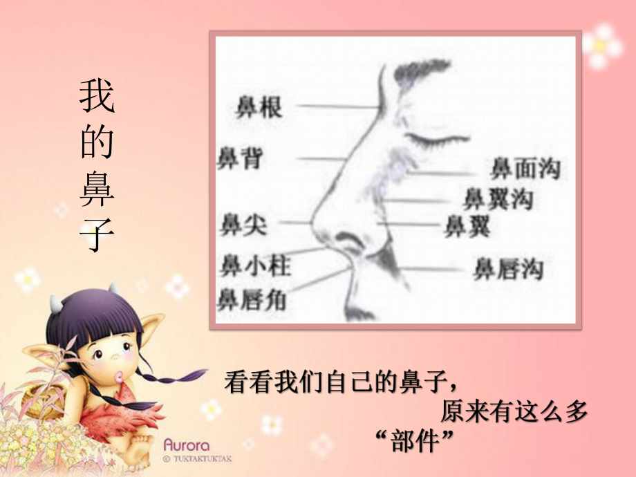 幼儿园《鼻子的故事》课件.ppt_第3页