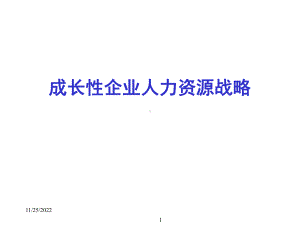 成长性企业人力资源战略课件.ppt