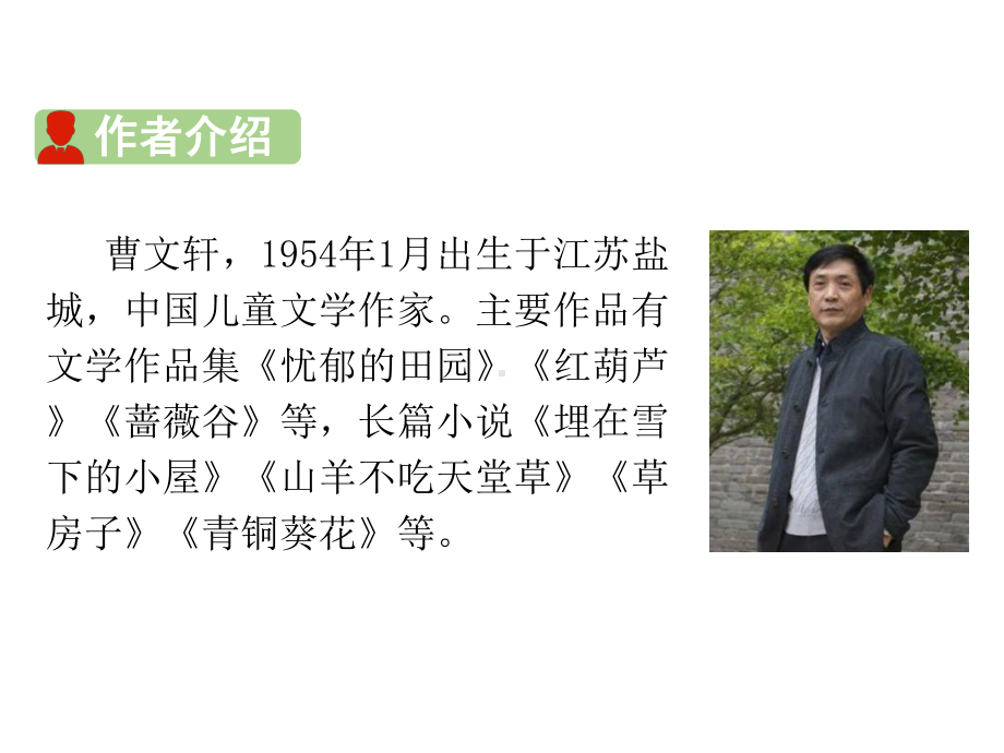 新人教版部编本四年级下册语文21 芦花鞋课件.ppt_第3页