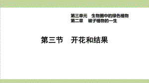 新人教版七年级上册生物 323 开花和结果 重点习题练习复习课件.ppt