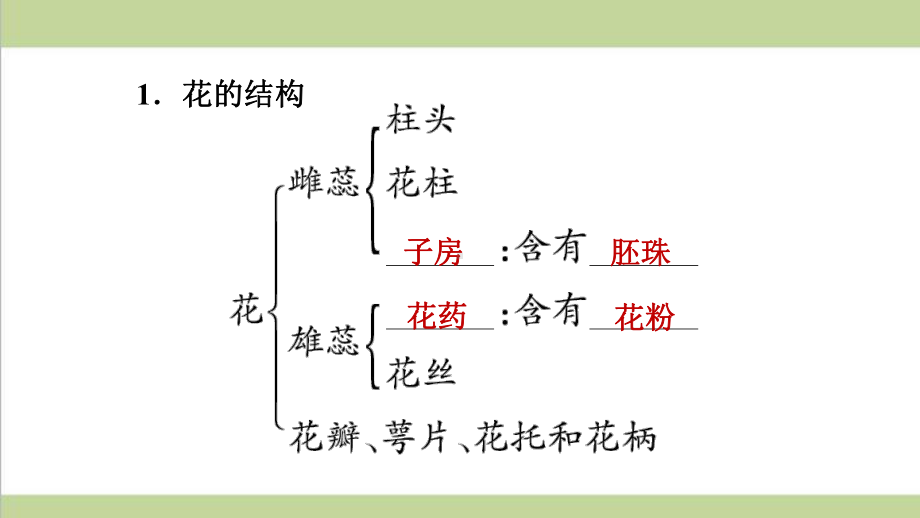 新人教版七年级上册生物 323 开花和结果 重点习题练习复习课件.ppt_第2页