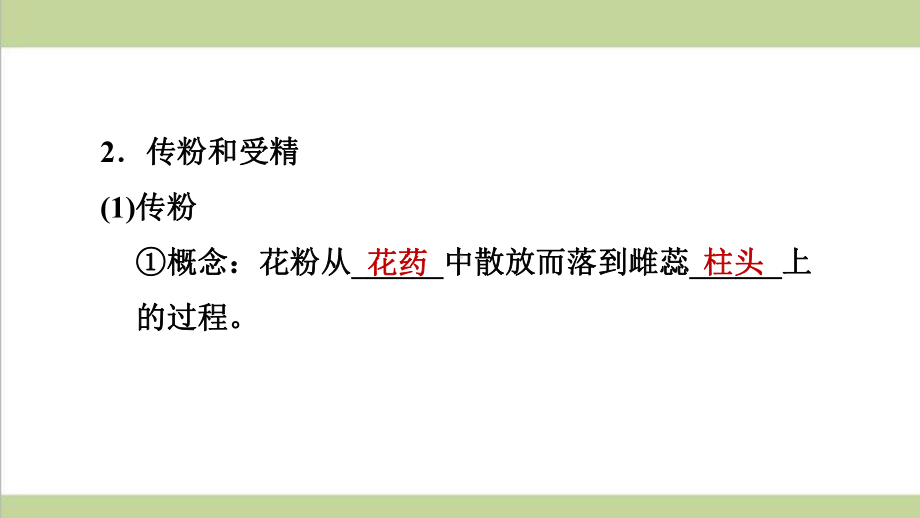 新人教版七年级上册生物 323 开花和结果 重点习题练习复习课件.ppt_第3页