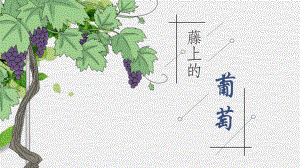 少儿创意美术培训(3~6岁) 藤上的葡萄 教学课件.pptx