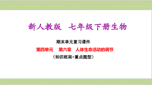 新人教版七年级下册初中生物 第六章 人体生命活动的调节 期末单元复习课件.ppt