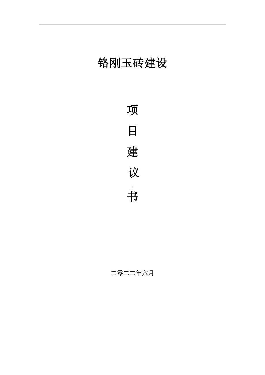 铬刚玉砖项目建议书（写作模板）.doc_第1页