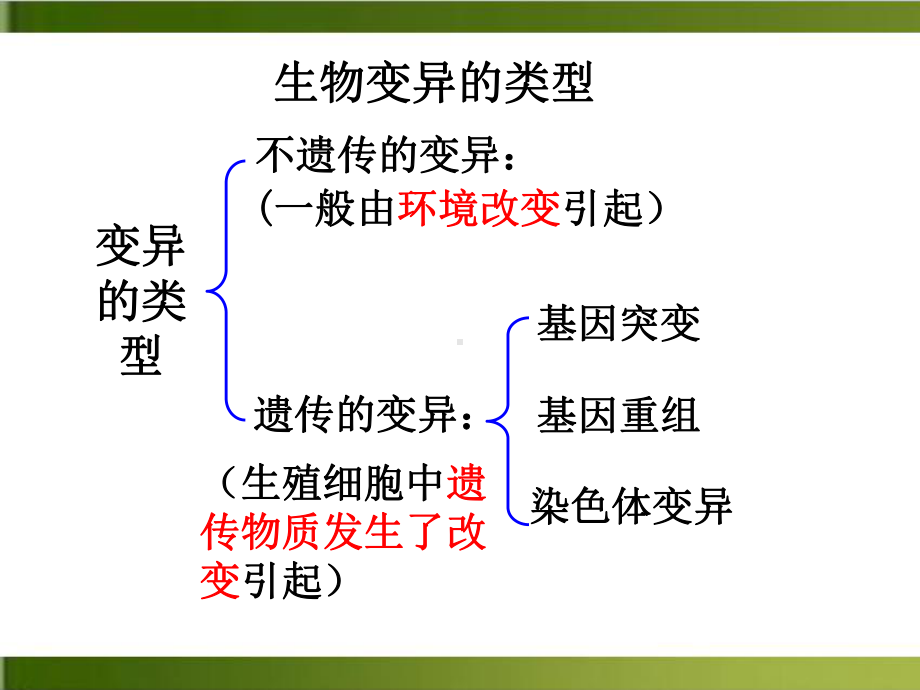 新（人教版材）基因突变和基因重组优质教学1课件.ppt_第3页