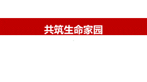 新部编版九年级道德与法治上册《共筑生命家园》教学课件.pptx