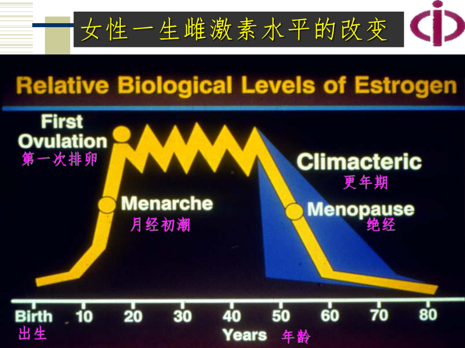 常用雌、孕激素制剂的特点课件.ppt_第2页