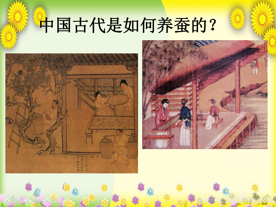 小学科学四下《我们来养蚕》 公开课一等奖课件-002.ppt_第3页