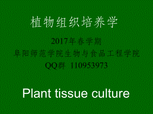 愈伤组织的培养课件.ppt