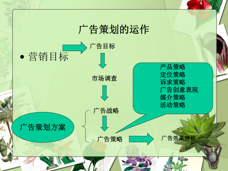 广告战略策划课件.pptx_第2页