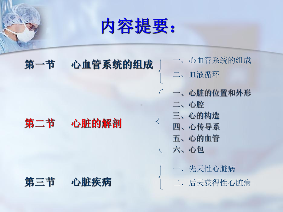 心脏解剖基础知识幻灯课件.ppt_第2页