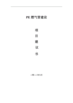 PE燃气管项目建议书（写作模板）.doc