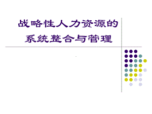 战略性人力资源的系统整合与管理课件.pptx