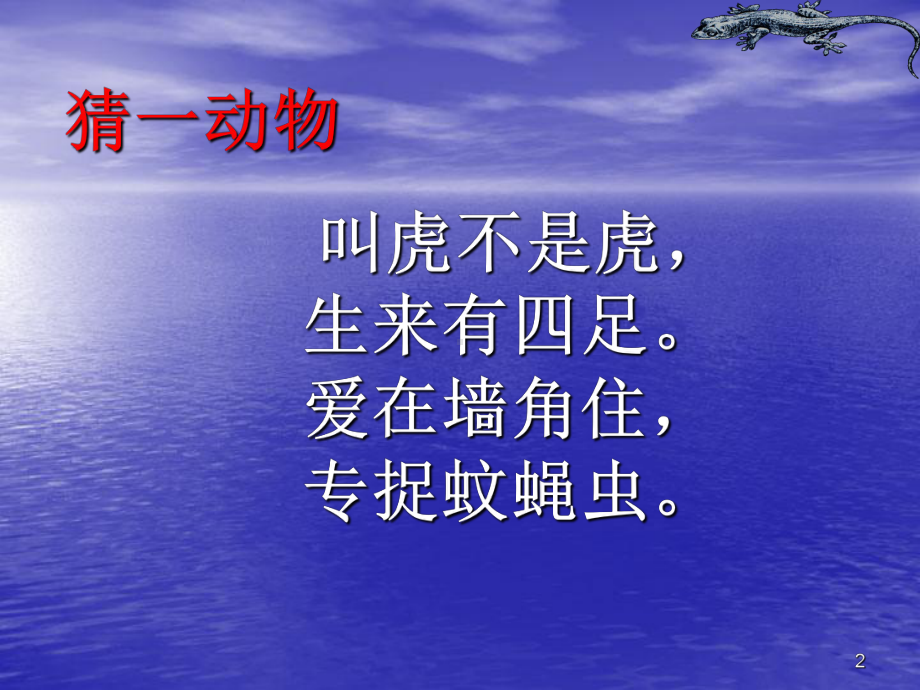 小壁虎借尾巴课件-002.ppt_第2页